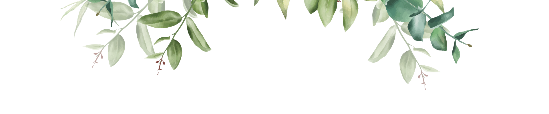 Folhagem verde que surge do topo da página